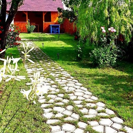 Villa Casa Pavel Jurilovca Esterno foto