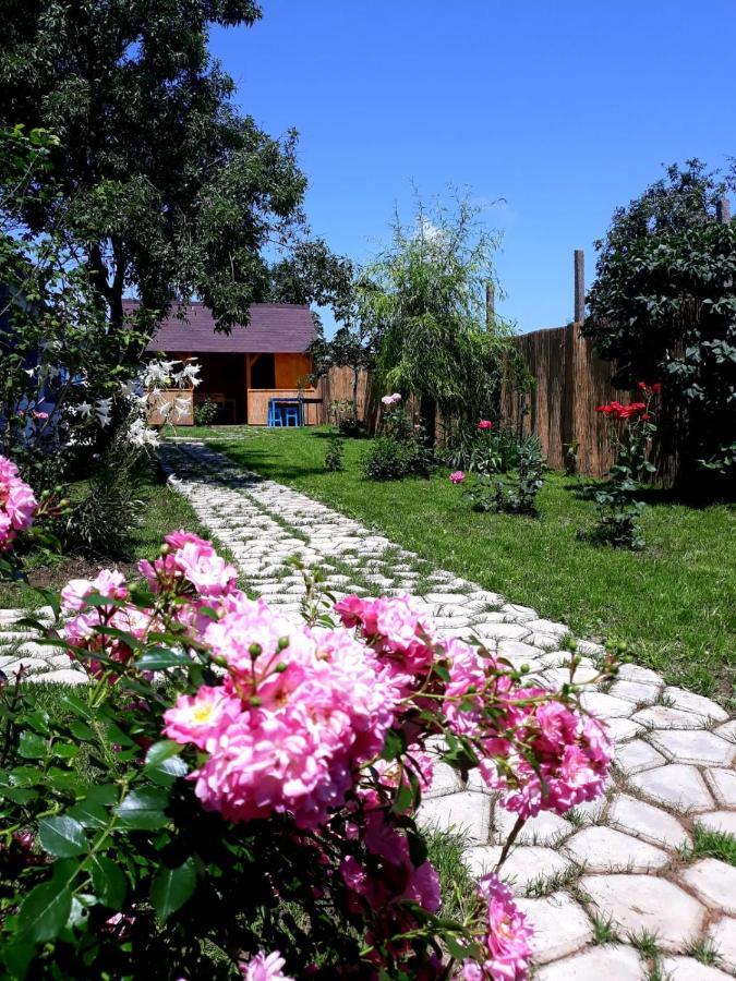 Villa Casa Pavel Jurilovca Esterno foto