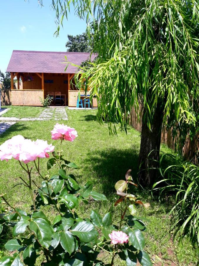 Villa Casa Pavel Jurilovca Esterno foto
