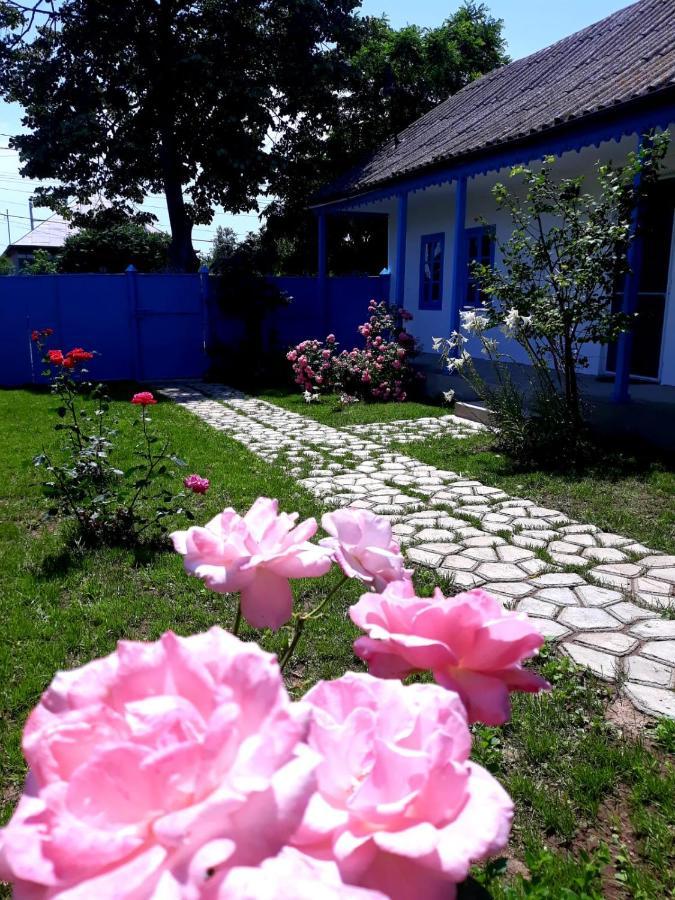 Villa Casa Pavel Jurilovca Esterno foto